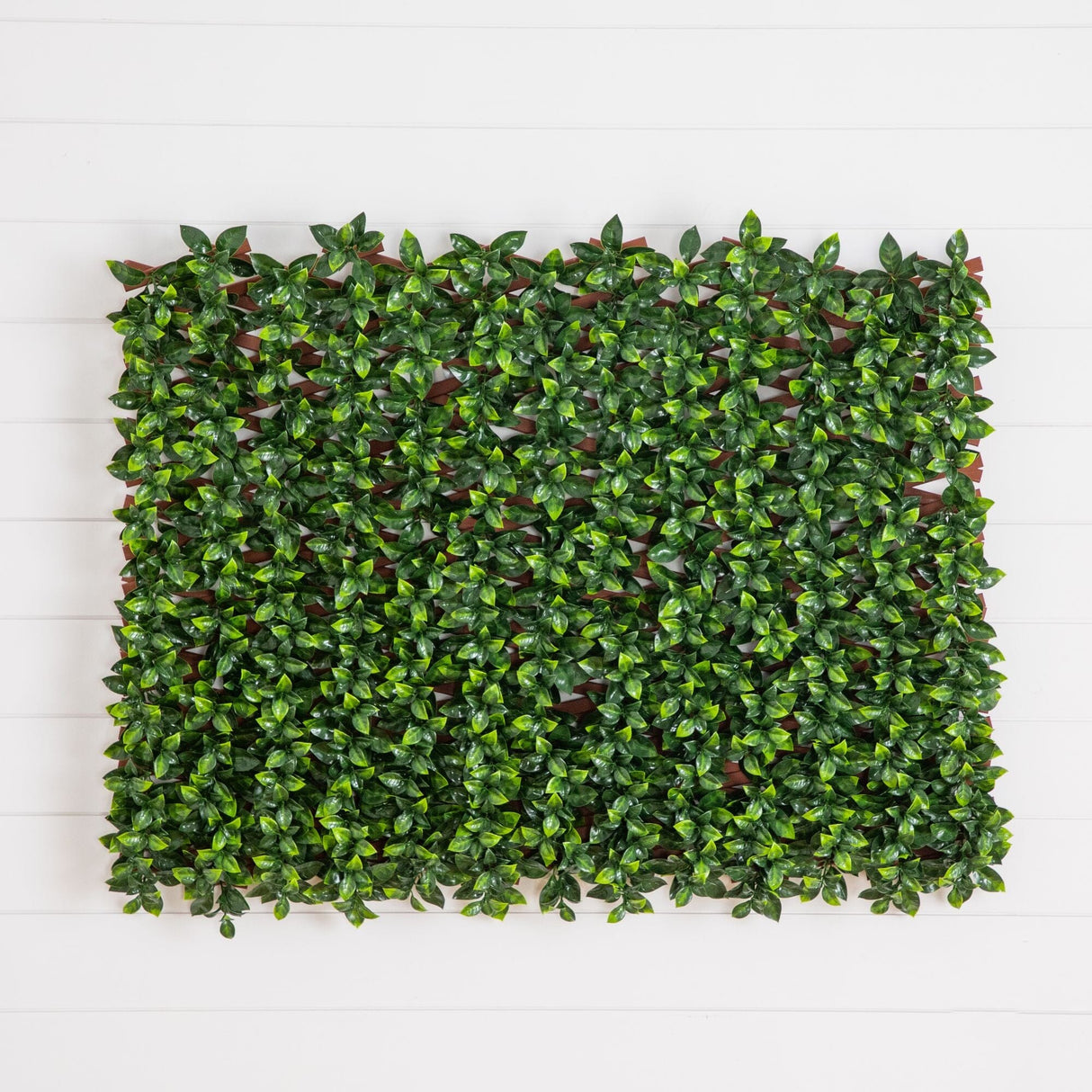 36” x 72" UV Resistant Artificial Gardenia Expandable Privacy Fence Screen (Indoor/Outdoor)