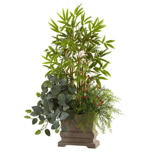 38” Mixed Mini Bamboo, Fittonia & Springeri w/Planter
