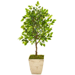 39” Ficus Artificial Tree in Country White Planter