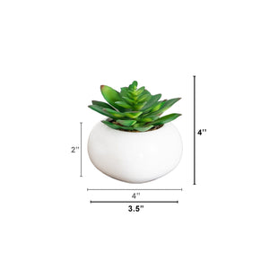 4" Artificial Mini Succulent in Ceramic White Planter -Set of 3