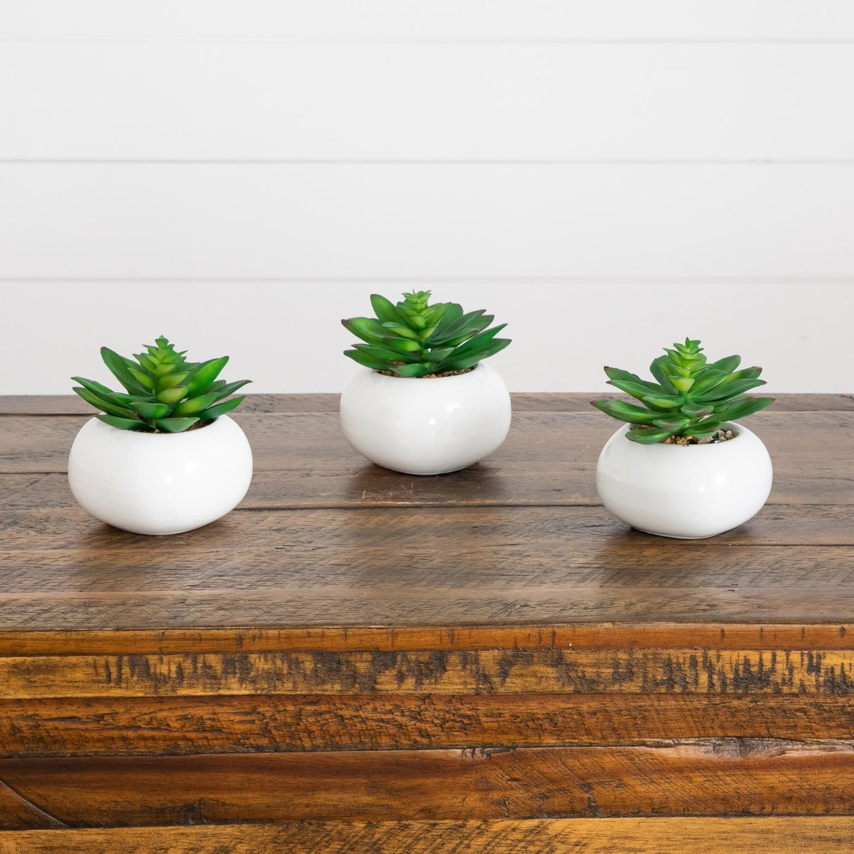 4" Artificial Mini Succulent in Ceramic White Planter -Set of 3