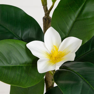 4’ Artificial Minimalist Magnolia Tree in Decorative Planter