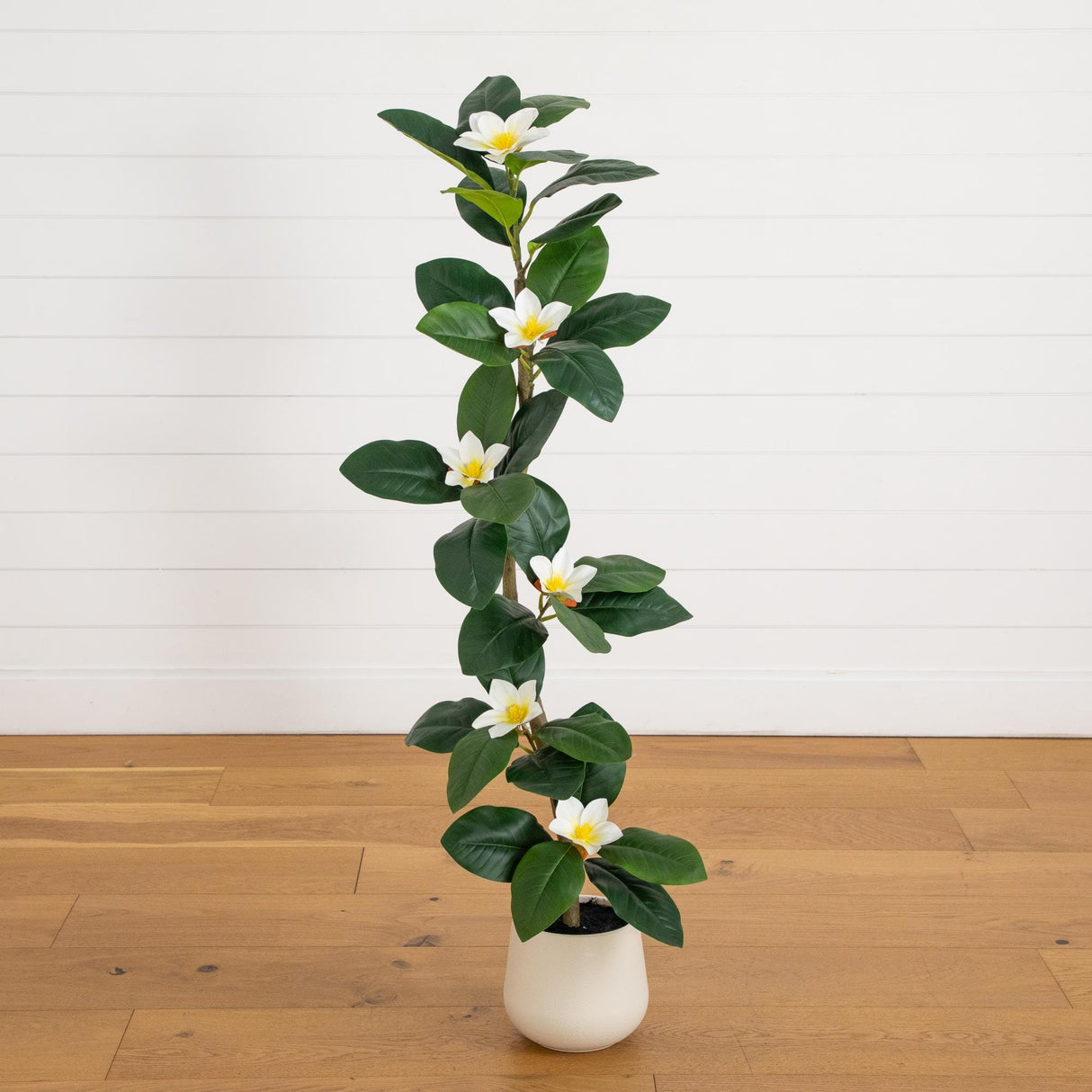 4’ Artificial Minimalist Magnolia Tree in Decorative Planter