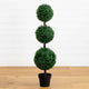 Faux Plants & Trees