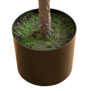 4' Artificial Real Touch Down Swept Norfolk Pine Tree with Natural Look