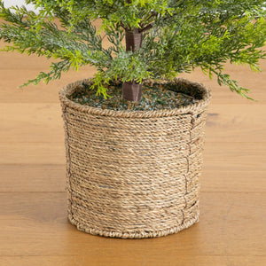 4’ Pre-Lit Artificial Snowed Cypress Christmas Tree with 120 LED Lights in Hyacinth Basket
