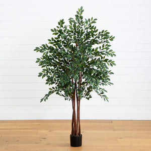 4' Ruscus Silk Tree