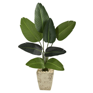 4’ Traveler's Palm Artificial Tree in Country White Planter