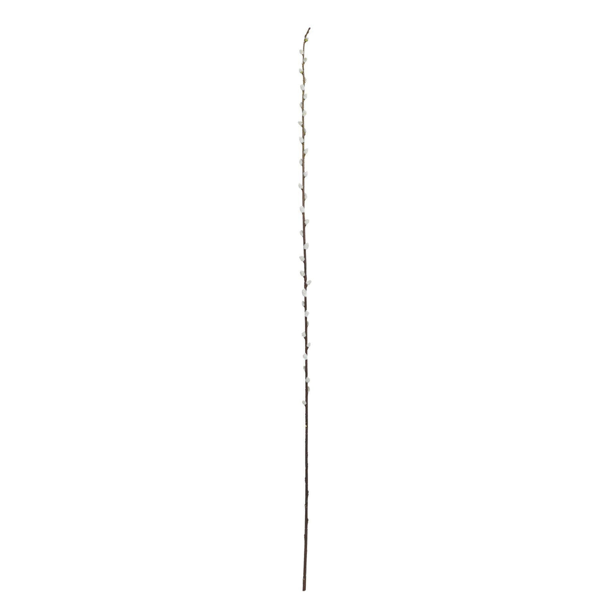 40” Pussy Willow Artificial Flower (Set of 12)