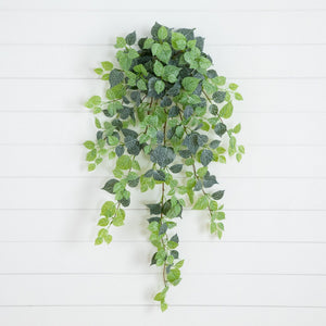 41" UV Resistant Artificial Fittonia Hanging Plant (Indoor/Outdoor) - Set of 3