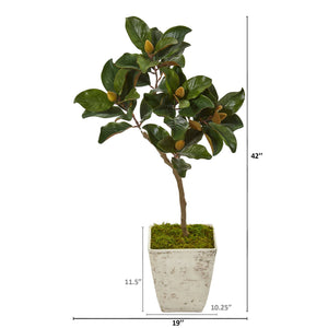 42” Magnolia Leaf Artificial Tree in Country White Planter