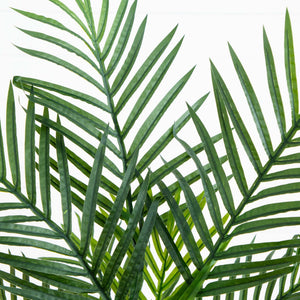 4.5’ Areca Palm Tree with Black Wash Planter UV Resistant (Indoor/Outdoor)