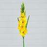 45" Artificial Gladiolus Flower Stems - Set of 3