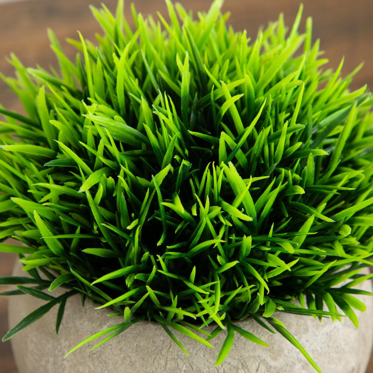 4.5" Artificial Grass Plant in Cement Planter - Set of 2
