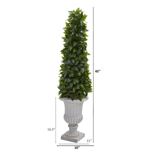 45” Sweet Bay Cone Topiary Artificial Tree in Decorative Gray Urn