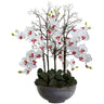 46" Giant Phalaeopsis w/Cement bowl"