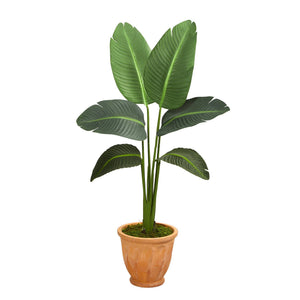 49” Traveler’s Palm Artificial Plant in Terra-Cotta Planter (Real Touch)