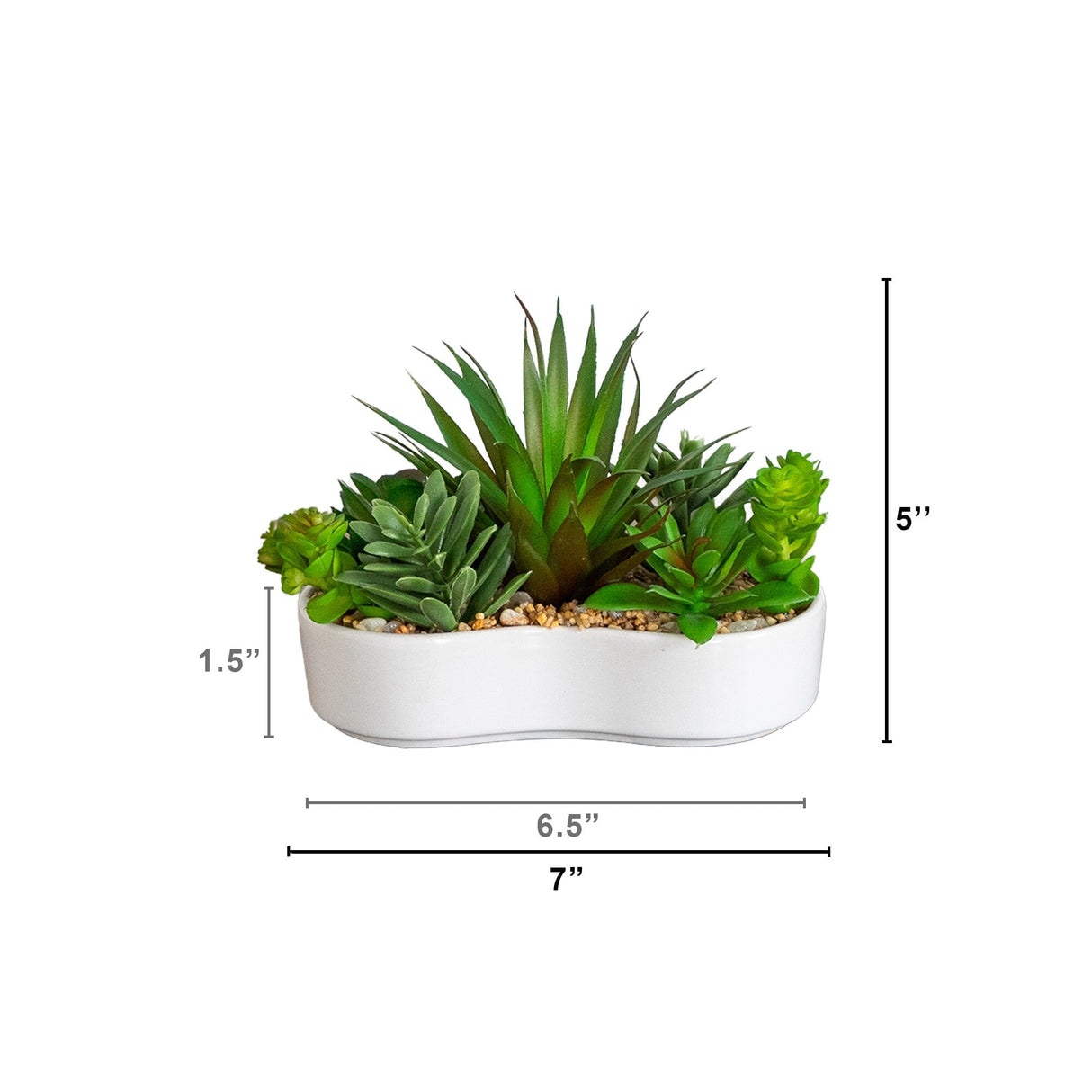 5" Artificial Succulent Garden in Ceramic White Planter -Set of 2