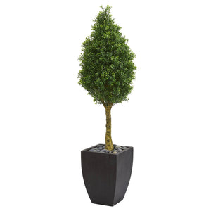 5’ Boxwood Cone Artificial Tree in Black Wash Planter (Indoor/Outdoor)