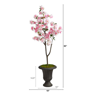 5’ Cherry Blossom Tree in Charcoal Urn