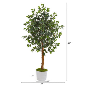 5’ Ficus Artificial Tree in White Tin Planter
