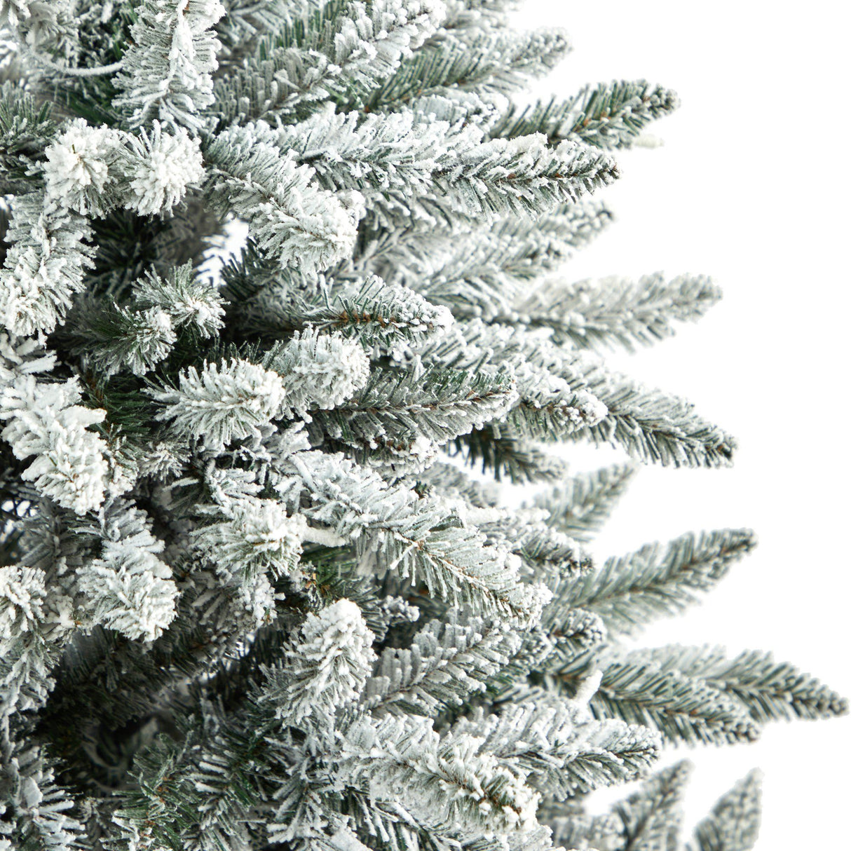 5’ Flocked West Virginia Spruce Christmas Tree with 200 Clear Lights and 604 Bendable Branches