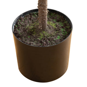 5' Artificial Real Touch Down Swept Norfolk Pine Tree with Natural Look