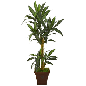 5’ Yucca Artificial Plant in Brown Planter