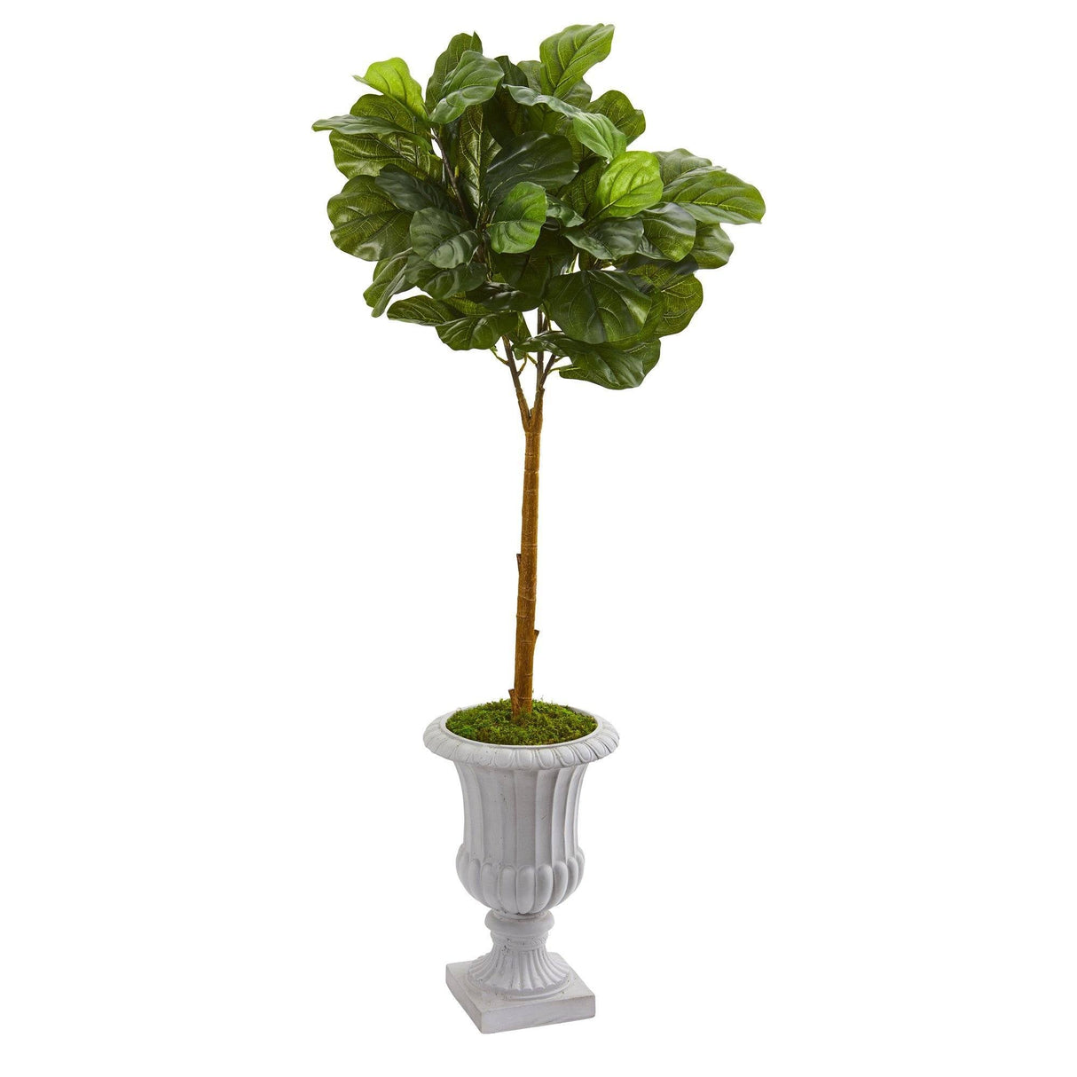 50” Fiddle Leaf Artificial Tree in Decorative Urn (Real Touch)