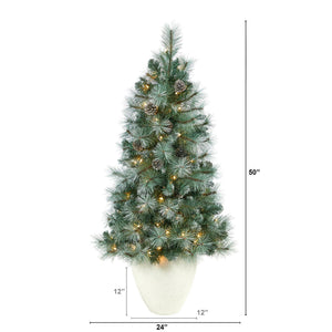 50” Frosted Tip British Columbia Mountain Pine Artificial Christmas Tree with 100 Clear Lights, Pine Cones and 228 Bendable Branches in White Planter