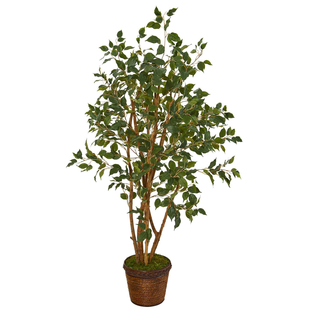 51” Ficus Artificial Tree in Coiled Rope Planter