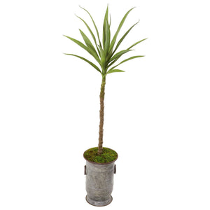 51” Yucca Artificial Plant in Vintage Metal Planter