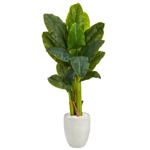 52” Triple Stalk Artificial Banana Tree in White Planter (Real Touch)
