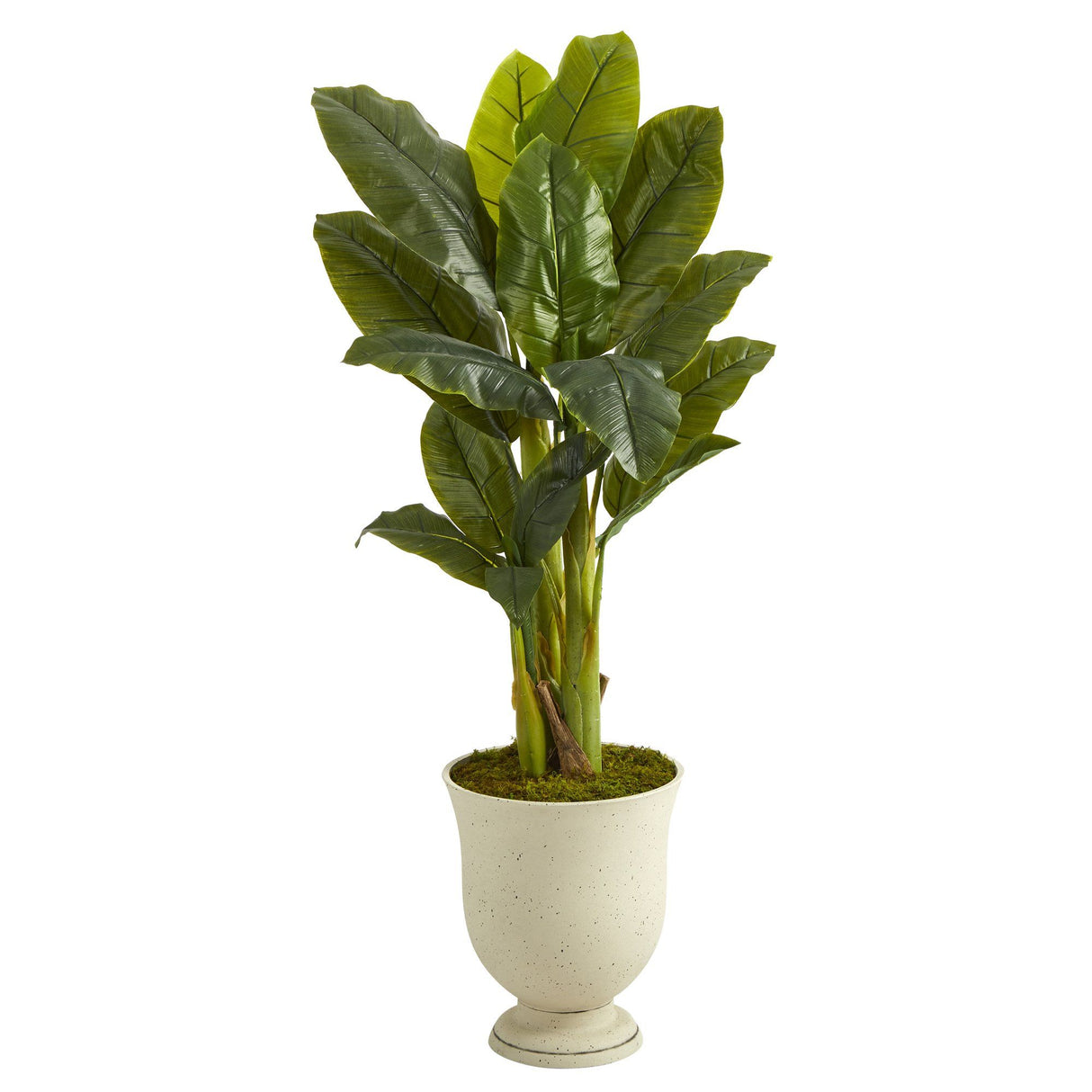 52” Triple Stalk Banana Artificial Tree in Decorative Urn (Real Touch)