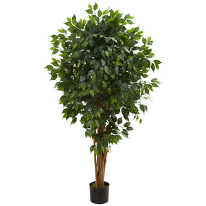 5.5’ Artificial Ficus Tree Bunched Trunks