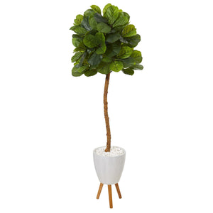 5.5’ Fiddle Leaf Artificial Tree in White Planter with Stand (Real Touch)