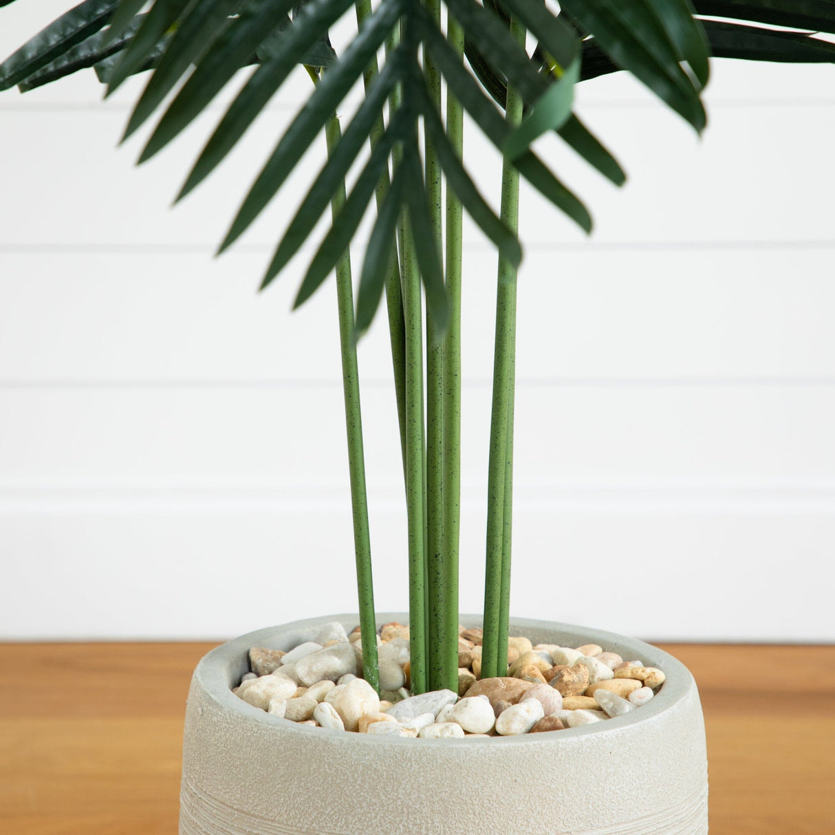 5.5' Paradise Artificial Palm Tree in Sand Colored Planter – Tuesday Morning