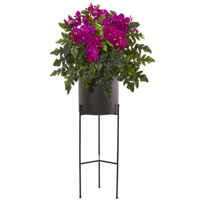 55” Phalaenopsis Orchid, Holly Fern Plant in Black Planter