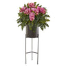 55” Phalaenopsis Orchid, Holly Fern Plant in Black Planter
