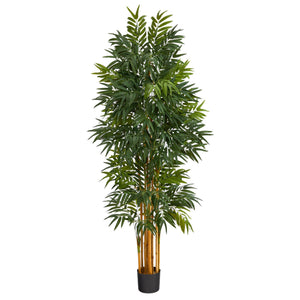 5.5’ Phoenix Artificial Palm tree with Natural Trunk