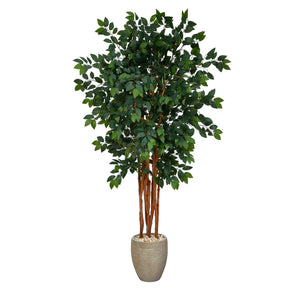 5.5’ Sakaki Artificial Tree with 1470 Bendable Branches in Sand Colored Planter