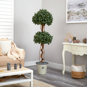 5.5’ Sweet Bay Double Ball Topiary Artificial Tree in Decorative Planter