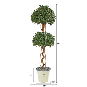 5.5’ Sweet Bay Double Ball Topiary Artificial Tree in Decorative Planter