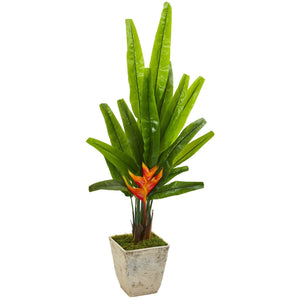 55” Traveler's Palm Artificial Tree in Country White Planter
