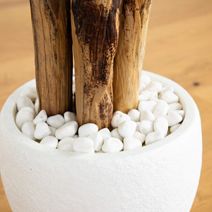 5.5’ Triple Areca Palm Artificial Tree in White Planter