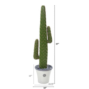 57” Cactus Artificial Plant in Decorative Planter