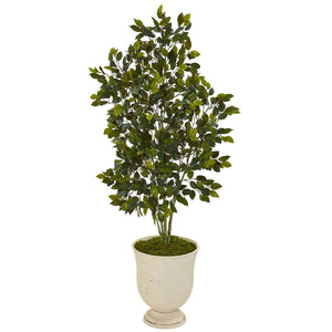 58” Ficus Artificial Tree in Decorative Urn