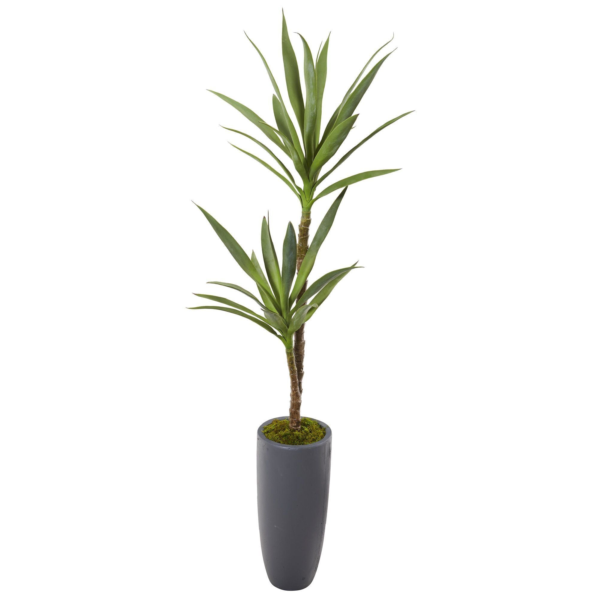 58” Yucca Artificial Plant in Gray Planter – Tuesday Morning