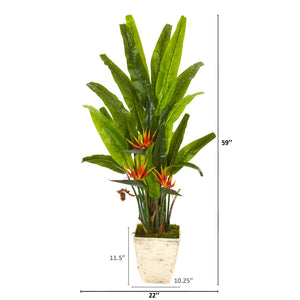59” Bird of Paradise Artificial Plant in Country White Planter