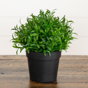 6” Artificial Grass Plant in Black Pot - Set of 2